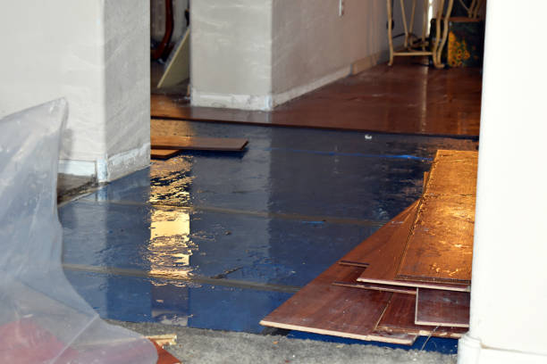 Professional Flood Damage Repair technician working in Almont, MI
